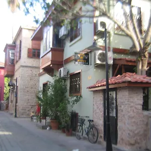 Camel Antalya